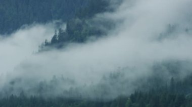 Beyaz bulutlar yeşil dağ tepelerinde yavaşça hareket eder. Dağların ve kozalaklı ormanların doğal manzarası. Alaska, 2017 yazı..