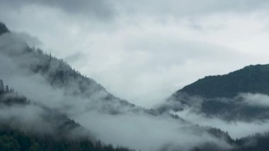Beyaz bulutlar yeşil dağ tepelerinde yavaşça hareket eder. Dağların ve kozalaklı ormanların doğal manzarası. Alaska, 2017 yazı..