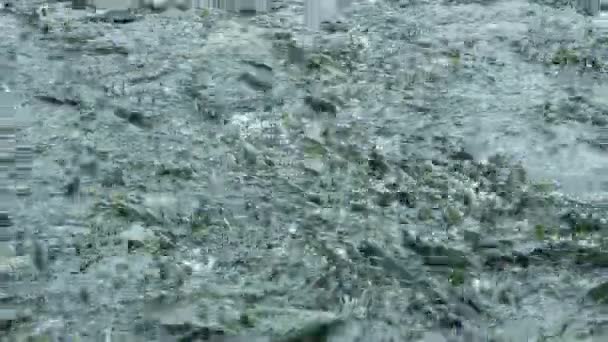 Река Полна Кишащего Лосося Головы Выходят Воды Животная Пищевая Цепочка — стоковое видео