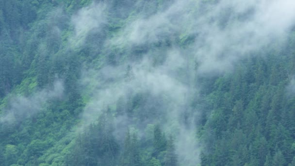 Die Weißen Wolken Ziehen Langsam Über Die Grünen Berggipfel Defokussierter — Stockvideo