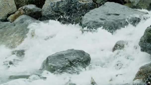 Salmão Pular Leitos Rios Rochosos Nadar Montante Com Corredeiras Alaskan — Vídeo de Stock