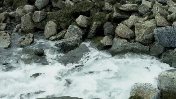 鲑鱼跳上岩石河床 带着急流向上游游去 阿拉斯加鲑鱼迁移 充满挑战和奇迹的旅程 2017 — 图库视频影像
