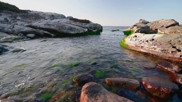 Ruhiges Und Klares Wasser Fließt Kleine Buchten Einige Grünalgen Wachsen — Stockvideo