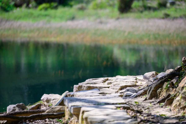 Toprağın Üzerinde Eski Ağaç Kökleri Olan Taştan Yapılmış Bir Göl — Stok fotoğraf