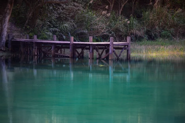 Ramos Verdes Água Lago Pequeno Cais Madeira Uma Pintura Animada — Fotografia de Stock