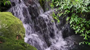 Yosunlu kayaların ve yeşil ağaçların arkasında Wanggu Şelalesi var. Dağ ormanı gizli yeri, göl rüya gibi zümrüt yeşili. Tayvan