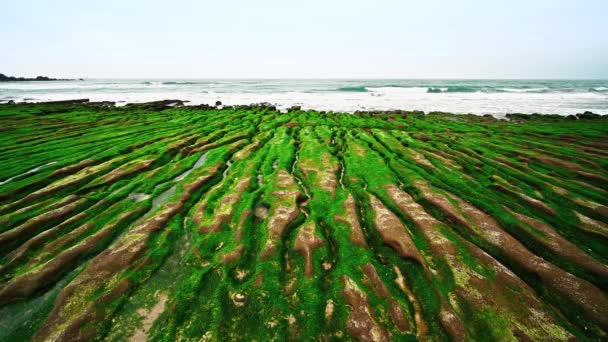Weiße Wellen Spülen Über Moosbraune Felsen Erkunden Sie Atemberaubende Küstenlandschaften — Stockvideo