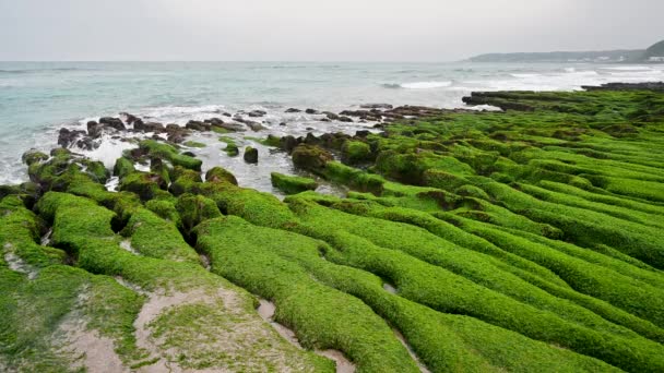 White Waves Wash Mossy Brown Rocks Explore Breathtaking Coastal Landscape — Stock Video