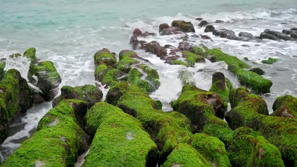 Белые Волны Омывают Мшистые Коричневые Камни Исследуйте Захватывающий Дух Прибрежный — стоковое видео