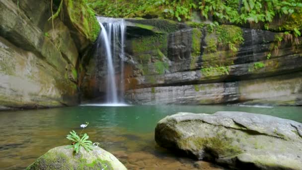 旺谷瀑布是避暑避暑的好地方 山林隐秘的地方 湖水是梦幻般的翡翠绿色 — 图库视频影像