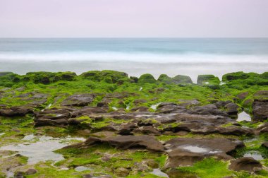 Beyaz dalgalar yosunlu kahverengi kayaların üzerinde yıkanır. Nefes kesici kıyı manzarasını araştırın. Laomei Green Stone Groove bahar ve yaz aylarında ziyaret etmek için iyi bir yerdir. Tayvan
