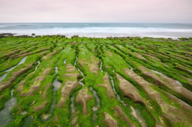 Beyaz dalgalar yosunlu kahverengi kayaların üzerinde yıkanır. Nefes kesici kıyı manzarasını araştırın. Laomei Green Stone Groove bahar ve yaz aylarında ziyaret etmek için iyi bir yerdir. Tayvan
