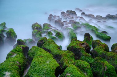 Beyaz dalgalar yosunlu kahverengi kayaların üzerinde yıkanır. Nefes kesici kıyı manzarasını araştırın. Laomei Green Stone Groove bahar ve yaz aylarında ziyaret etmek için iyi bir yerdir. Tayvan