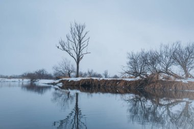 Karla kaplı ağaçların ve el değmemiş kar manzaralarının huzurlu manzaralarını alın. Hokkaido 'nun kışın huzurlu güzelliği: Kushiro Nehri boyunca huzurlu bir tekne gezisi.