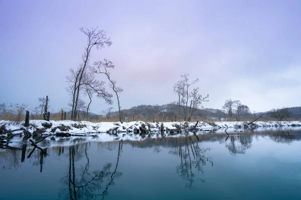 Genießen Sie Die Ruhige Aussicht Auf Schneebedeckte Bäume Und Unberührte — Stockfoto