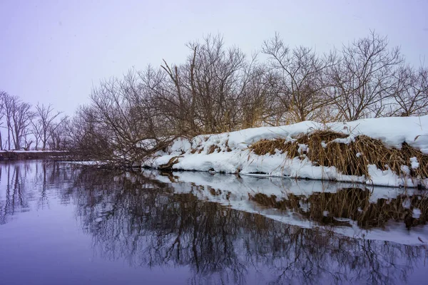 Візьміть Безтурботні Вітри Вкритих Снігом Дерев Первозданних Снігових Ландшафтів Спокійна — стокове фото