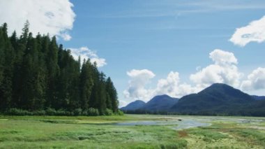 Çayırlar boyunca uç, dağların, mavi gökyüzünün ve beyaz bulutların fotoğraflarını çek. Alaska 'nın yaz otlaklarının, kozalaklı ormanlarının ve nehirlerinin insansız hava aracı görüntüleri..