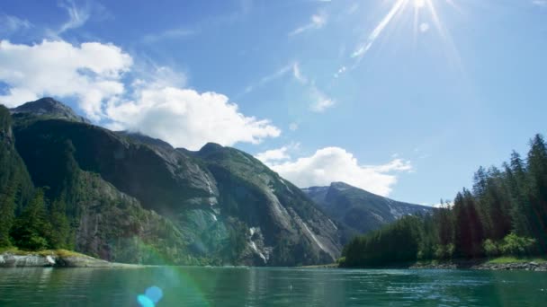 Büyüleyici Beyaz Bulutlar Mavi Gökyüzü Yeşil Ormanlar Dağlar Alaska Yaz — Stok video