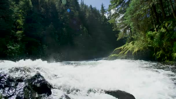 Streams Flow Rocks Fish Jumped Out White Rushing River Summer — Stock Video