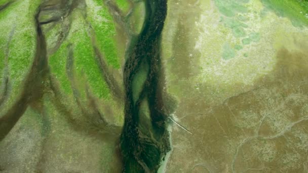Lítat Zemi Fotografovat Řeky Zelený Mech Naplaveninové Pláně Drone Shot — Stock video