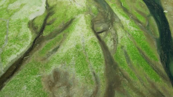 Latać Wzdłuż Ziemi Fotografować Rzeki Zielony Mech Równiny Aluwialne Strzał — Wideo stockowe