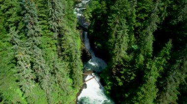 Nehir akıntılarının, çimenlerin ve ağaçların fotoğraflarını çekmek için yer boyunca uçun. Alaska 'nın yaz otlaklarının, kozalaklı ormanlarının ve nehirlerinin insansız hava aracı görüntüleri..