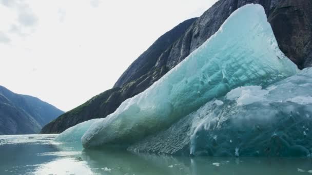 Sledujte Ledové Kry Ledovce Řece Malém Člunu Skály Led Řeky — Stock video