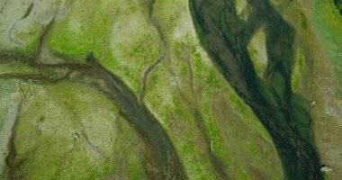Yerde uçun ve nehirleri, yeşil yosunları ve alüvyon ovalarını fotoğraflayın. Alaska 'nın yaz otlaklarının, kozalaklı ormanlarının ve nehirlerinin insansız hava aracı görüntüleri..