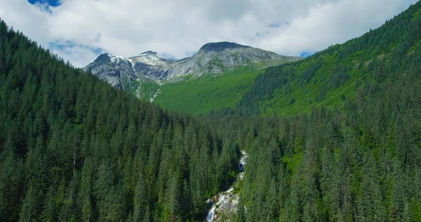 A shot looking down on trees and streams, tilted towards the mountains. Drone footage of coniferous forests and rivers formed by melting ice in Alaska.