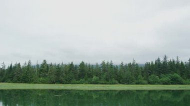 Bulanık gökyüzü, nehir kıyısının yanındaki kozalaklı orman, sakin ve huzurlu. Alaska 'da yaz: küçük bir tekne ile güzel bir nehir gezisi..