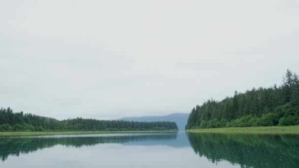 Bulanık Gökyüzü Nehir Kıyısının Yanındaki Kozalaklı Orman Sakin Huzurlu Alaska — Stok video
