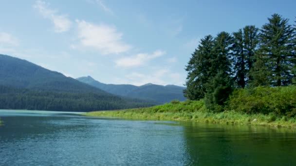 朦胧的天空 河边的针叶林 悠闲祥和 阿拉斯加的夏天 乘小船游览一条风景如画的小河 — 图库视频影像
