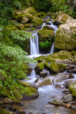 Dere yemyeşil ormanın içinden akar. Yazın yürüyüş için harika bir yer. Yazın, dağdaki taşlar boyunca küçük şelaleler akar..