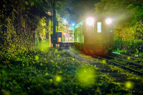 Geceleri, ateş böcekleri dağlardaki demiryolu raylarında uçarlar. Dahua İstasyonu, Pingxi şube hattının istasyonlarından biridir..