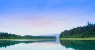 Bulanık gökyüzü, nehir kıyısının yanındaki kozalaklı orman, sakin ve huzurlu. Alaska 'da yaz: küçük bir tekne ile güzel bir nehir gezisi..