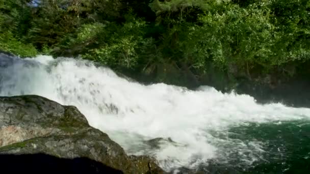 Salmón Salta Los Lechos Rocosos Los Ríos Nada Río Arriba — Vídeo de stock