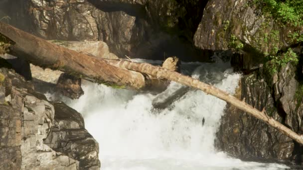 魚の闘争は 小さな滝に上流のスポーンに移行するジャンプします アラスカサーモン移行 挑戦と驚異に満ちた旅 スローモーションショット — ストック動画