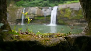 Büyük uçurumları atlamalarıyla ünlüdür ve güvenli bir yüzme havuzu vardır. Lingjiao Şelalesi, New Taipei 'nin Pingxi ilçesinde yer almaktadır.