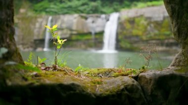 Büyük uçurumları atlamalarıyla ünlüdür ve güvenli bir yüzme havuzu vardır. Lingjiao Şelalesi, New Taipei 'nin Pingxi ilçesinde yer almaktadır.