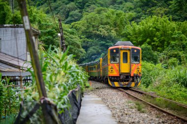 Sarı bir dizel tren dağlarda ve ormanlarda ilerliyor. Pingxi hattı boyunca nehir vadileri, çukurlar ve şelaleler var. Tayvan