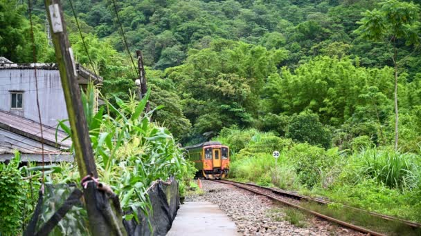 Ein Gelber Dieselzug Fährt Durch Berge Und Wälder Entlang Der — Stockvideo