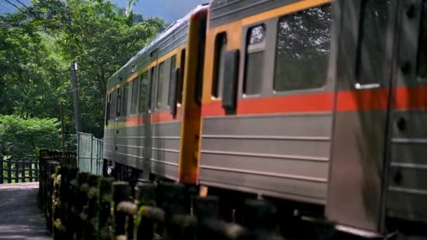 Ένα Κίτρινο Τρένο Ντίζελ Οδηγεί Στα Βουνά Και Δάση Κατά — Αρχείο Βίντεο