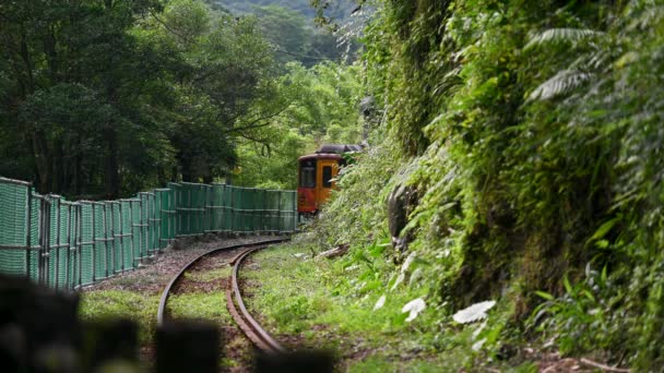 Tren Diesel Amarillo Está Conduciendo Las Montañas Los Bosques Largo — Vídeo de stock