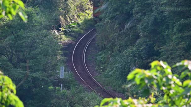 Trem Diesel Amarelo Está Dirigindo Nas Montanhas Florestas Longo Linha — Vídeo de Stock