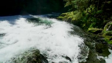 Balıklar küçük şelaleye atlayıp yumurtalarını bırakmak için akıntıya karşı ilerlemeye çabalarlar. Alaska Somon göçü: Zorluklar ve Harikalarla dolu bir yolculuk. Yavaş çekim..