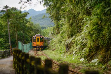 Sarı bir dizel tren dağlarda ve ormanlarda ilerliyor. Pingxi hattı boyunca nehir vadileri, çukurlar ve şelaleler var. Tayvan