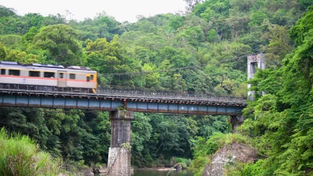 Ein Gelber Dieselzug Passiert Die Brücke Über Das Tal Entlang — Stockvideo
