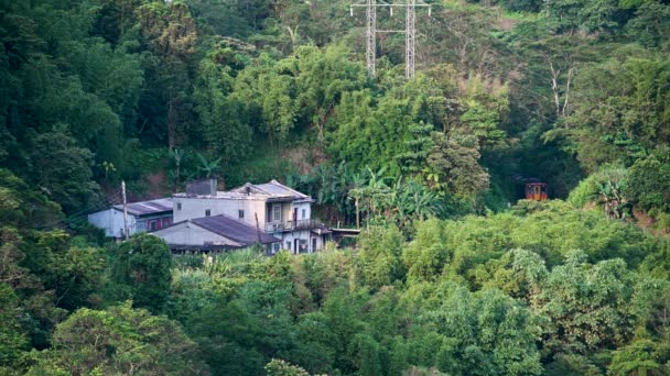 Tren Diesel Amarillo Está Conduciendo Las Montañas Los Bosques Pase — Vídeos de Stock