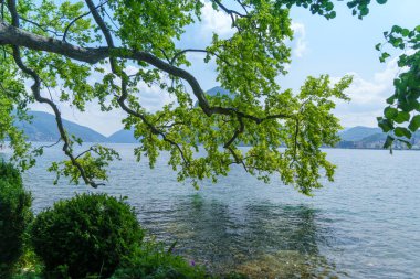 Dallar ve yapraklar göl boyunca uzanıyor. Gölün çevresindeki dağ manzarası. Lugano 'nun çiçekli, villalı ve dini binalı bir Akdeniz aroması var..