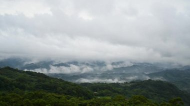 Bulutlar ve sis denizinin güzelliği yeryüzündeki bir peri ülkesi gibidir. Ginger Garden Tarım Bölgesi, Miaoli Bölgesi.